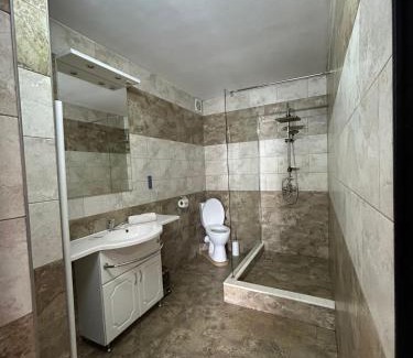 Sebes House | Vila Lion