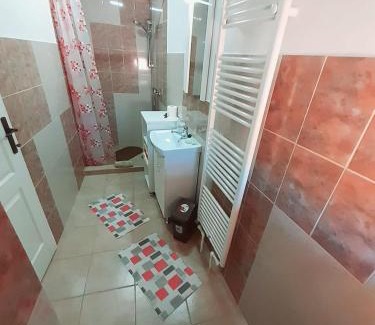 Hateg Villa | Vila Nico