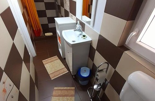 Hateg Villa | Vila Nico