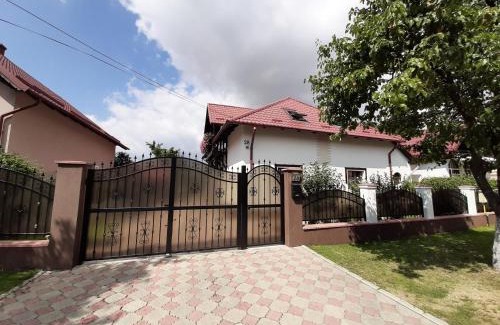 Vladeni House | Vila Nicolai