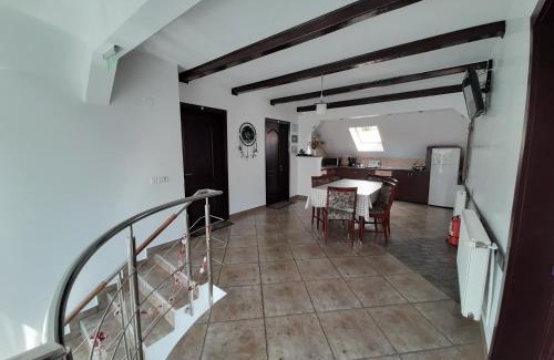 Vladeni House | Vila Nicolai