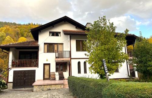 Ribaritsa House | Vila Omainiche Ribarica