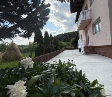 Cicanesti House | Vila Teo
