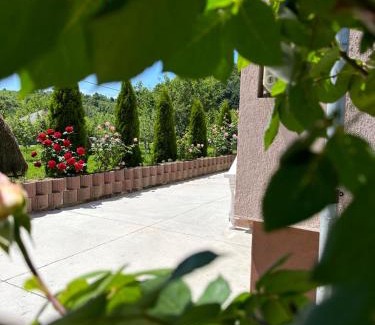 Cicanesti House | Vila Teo