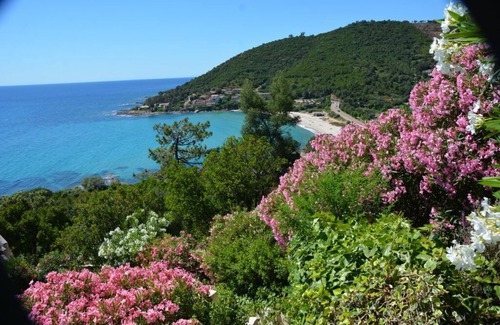 Tarcu Villa | Villa 2/10 pers, seafront, beach 300m - Tarco (Corse du sud)