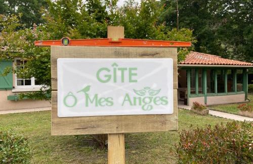 Saint-Julien-en-Born House | villa 8 personnes ô Mes Anges
