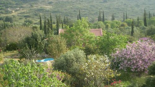 Klil House | Villa Adama