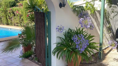 L'Alcassar Villa | VILLA ALCAZAR