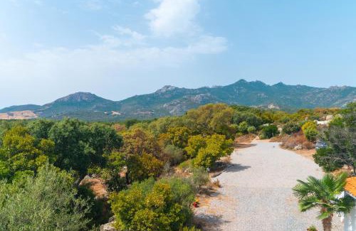 Calangianus Villa | Villa Alcumissu