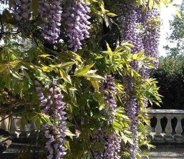 Montepulciano Bed & Breakfast | Villa Argiano a Montepulciano