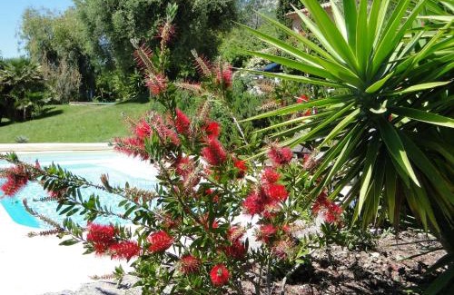 Vence Villa | Villa Aurabelle für Familien und Genießer der Côte d'Azur