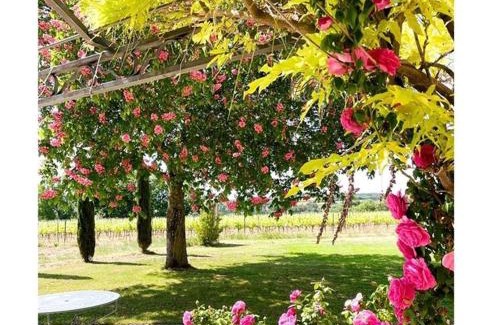 La Tour-d'Aigues Villa | Villa avec Pool House au cœur des vignes - Lubéron