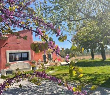 La Tour-d'Aigues Villa | Villa avec Pool House au cœur des vignes - Lubéron