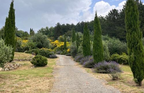 Cinigiano Villa | Villa Bella Costa