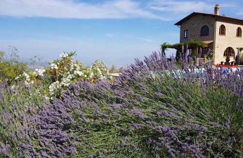 Cinigiano Villa | Villa Bella Costa