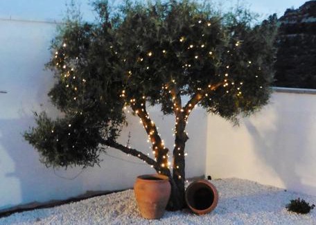 Busot House | Villa Bellavista