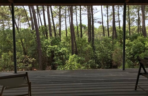 Le Canon Villa | Villa between pool and ocean - Le Canon (Cap Ferret)