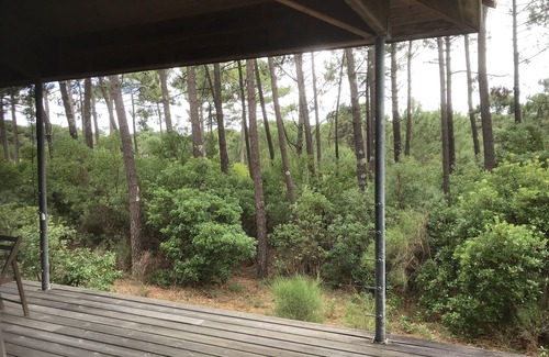 Le Canon Villa | Villa between pool and ocean - Le Canon (Cap Ferret)