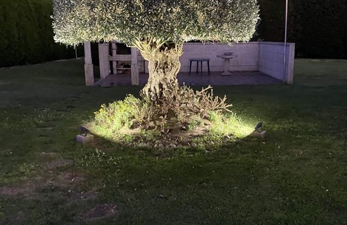 Caldas de Reis Villa | Villa Bimba con Piscina , Barbacoa y Jardín de 6.000 m3
