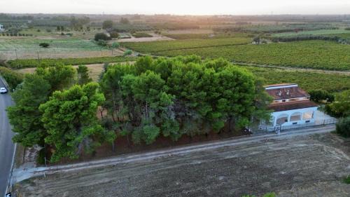 Carmiano Villa | Villa Brada