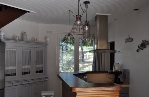 Le Canon House | Villa - Cap Ferret - Aquitaine with swimming pool