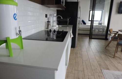 Zona 10 Apartment | Villa City, Ciudad de Guatemala, EON zona 10
