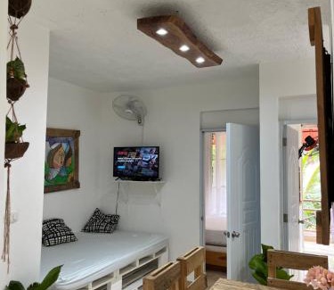 Samana Apartment | Villa Coconut