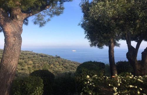 Poggi Villa | Villa della Pietra