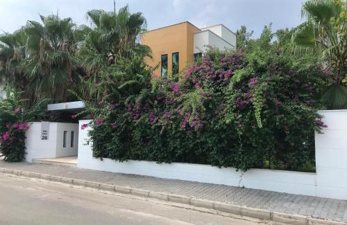 Aslanbucak Villa | Villa Diva