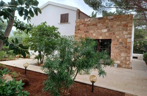 Castelluzzo House | Villa Dracena