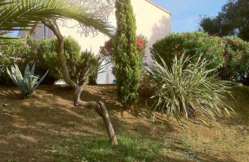 Oletta Villa | Villa ELOFRED
