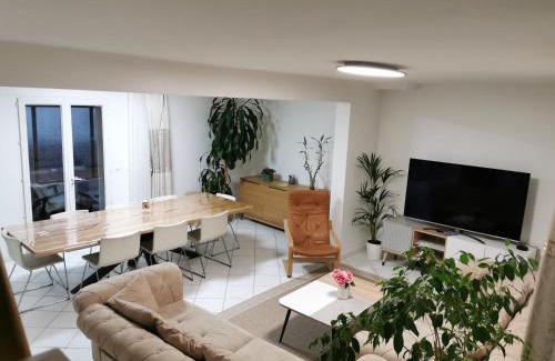 Tremblay-en-France House | Villa entière proche Aéroport CDG Disney Astérix