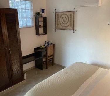 Colonia Centro Bed & Breakfast | Villa Escondida Guest House Cozumel Downtown