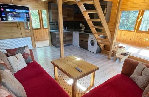 Ayder Yaylasi Villa | Villa Gencal Ayder