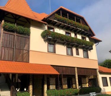 Salciua de Jos House | VILLA GHERMAN