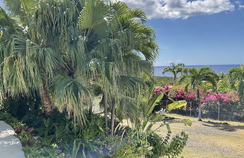 Deshaies Villa | Villa in Deshaies: great view & sea access, private pool, walking distance to the beach