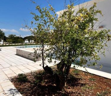 Martina Franca Bed & Breakfast | Villa Itriò - In the heart of Apulia - B&B - pool - rural experience