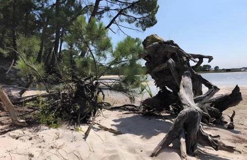 Cazaux House | Villa jacuzzi entre Lac et Ocean