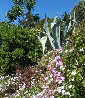 Roches Grises Bed & Breakfast | Villa Le Clos Fleuri