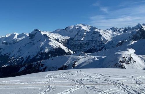 Les Deux Alpes Apartment | Villa Le Ponteil