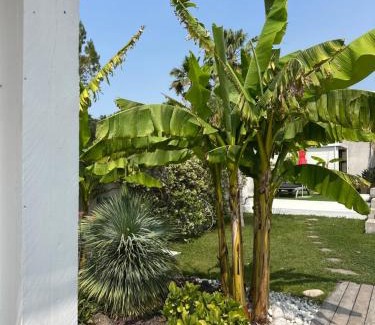 Cassis Bed & Breakfast | Villa Le Sud