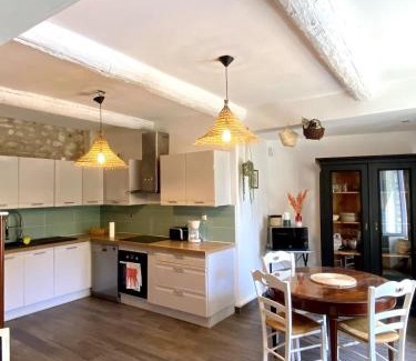 Fontaine-de-Vaucluse House | Villa les Volets Bleus an authentic house in the heart of the city center