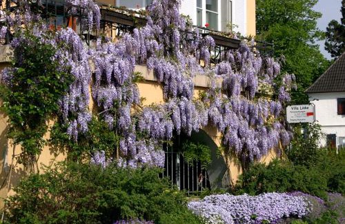 Nonnenhorn Apartment | Villa Linke am Bodensee