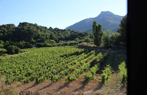 Roquevaire House | Villa located in the heart of Provence with private pool on 3 hectares.
