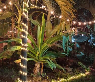 Alfredo V. Bonfil Apartment | Villa Los Duendes