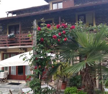 Carciano Apartment | Villa Lucciola