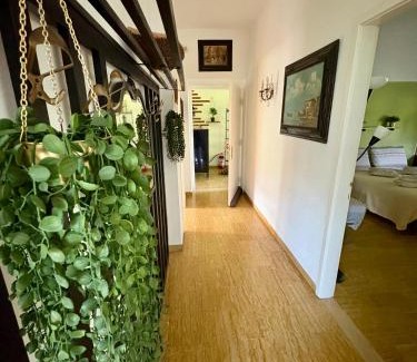 Brentonico Villa | Villa Magnolia Oliveti