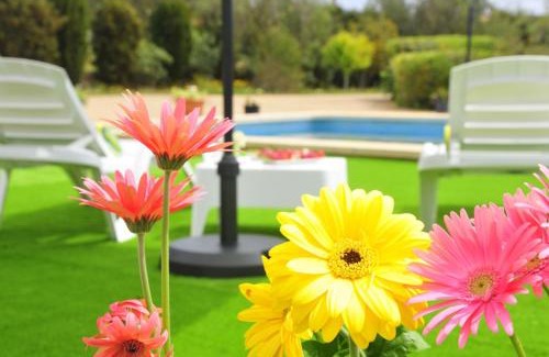 Son Antem Villa | Villa Mallorca Paradise