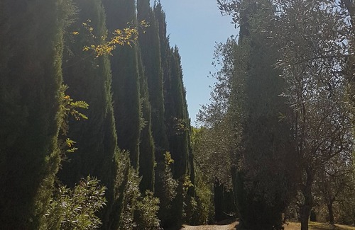 Palaia Villa | Villa Marae in Tuscany - Stunning Villa With a Pool and Tennis Court