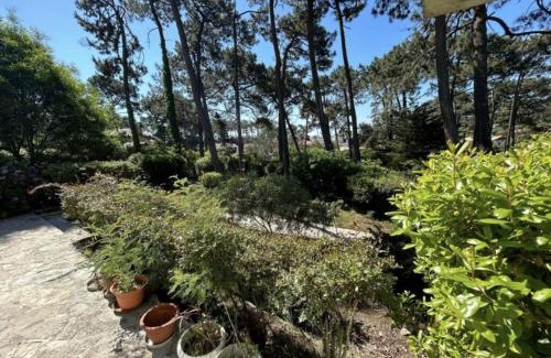Piraillan House | VIlla MARGUERITE